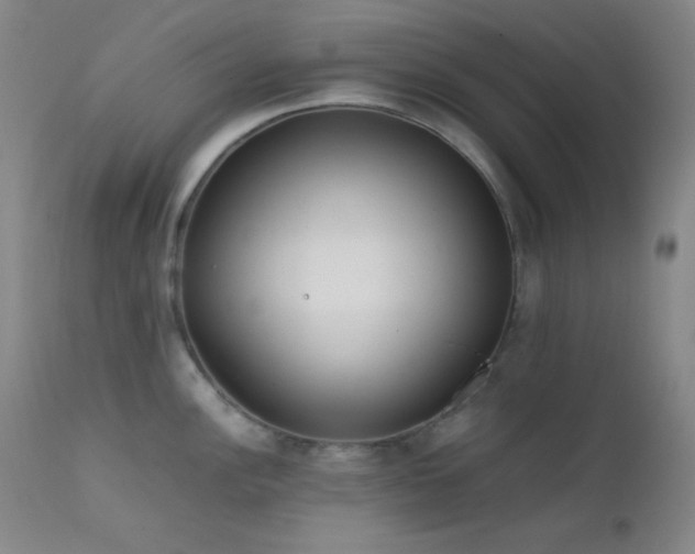 X0000111501148200907141306