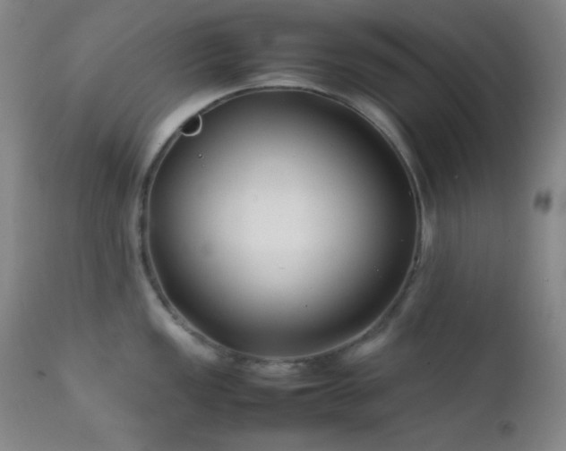 X0000111501149200907141306