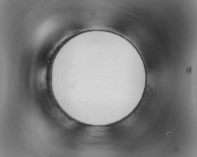 X0000111501150200907141306