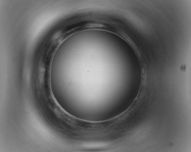 X0000111501151200907141306