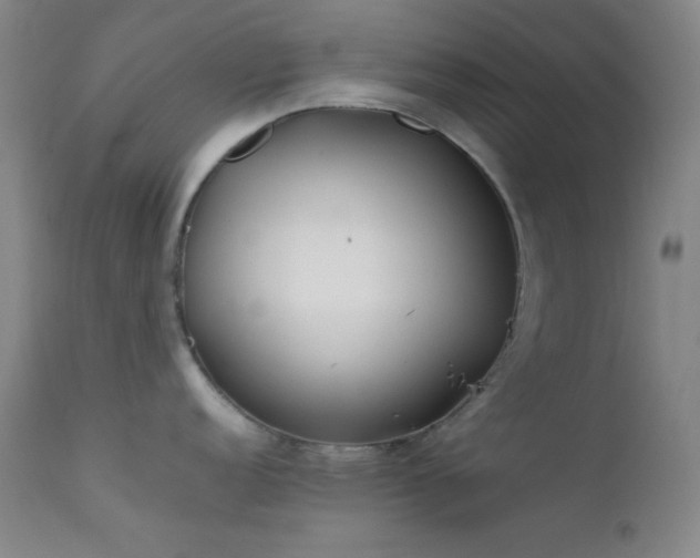 X0000111501152200907141306