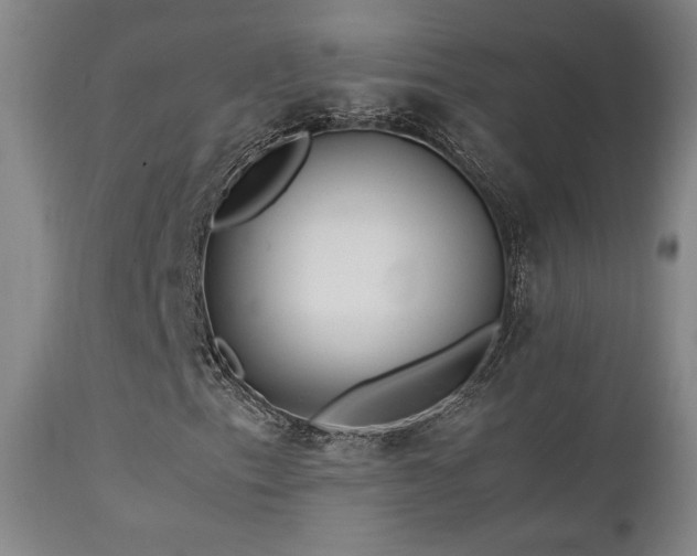 X0000111501153200907141305