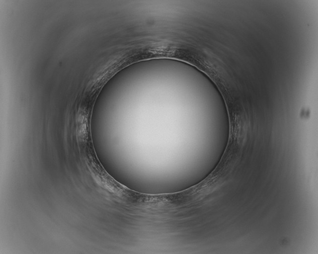 X0000111501154200907141305