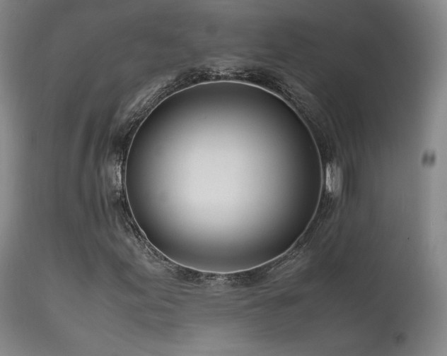 X0000111501155200907141305