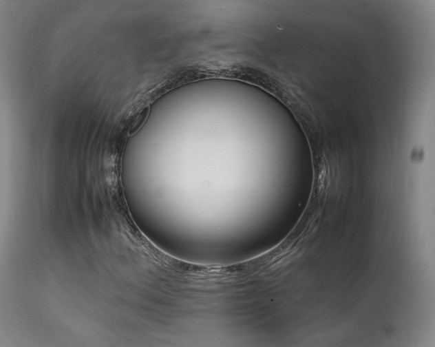 X0000111501156200907141305
