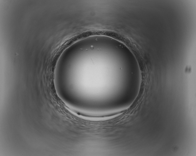 X0000111501157200907141305