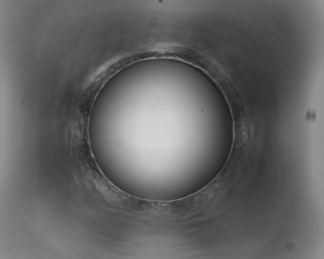 X0000111501158200907141305