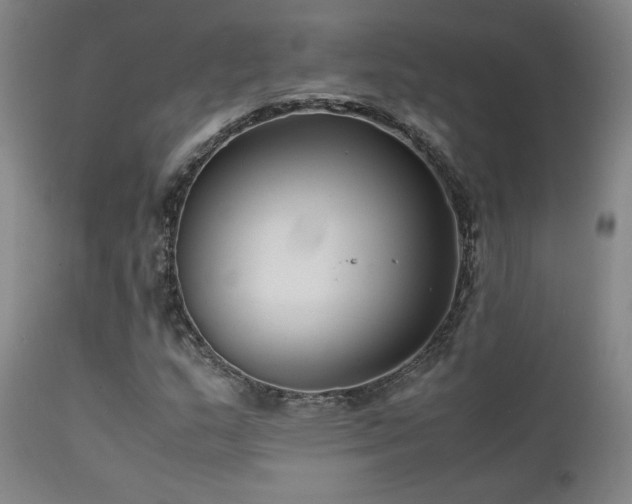 X0000111501159200907141305