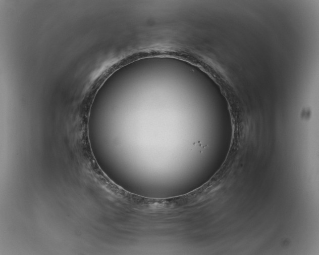 X0000111501160200907141305