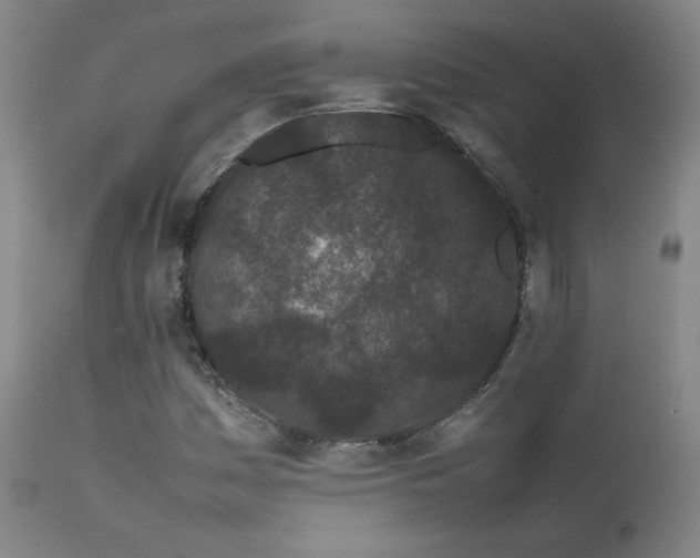 X0000111501161200907141305