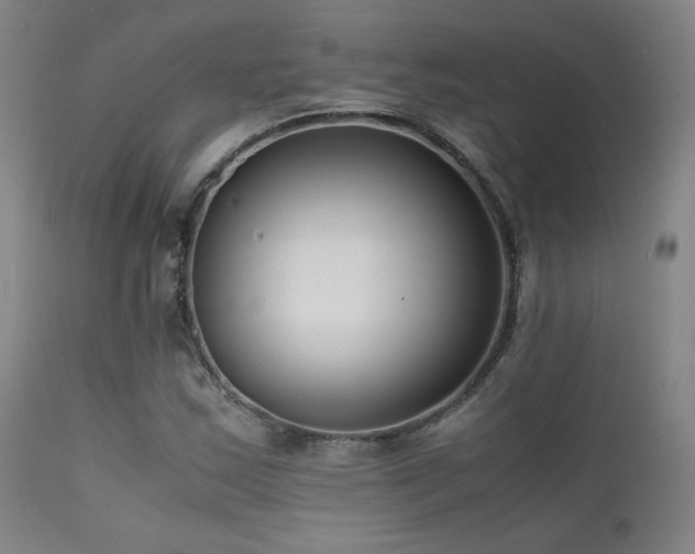 X0000111501163200907141305