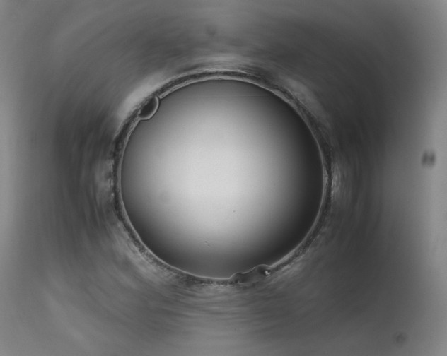 X0000111501164200907141305
