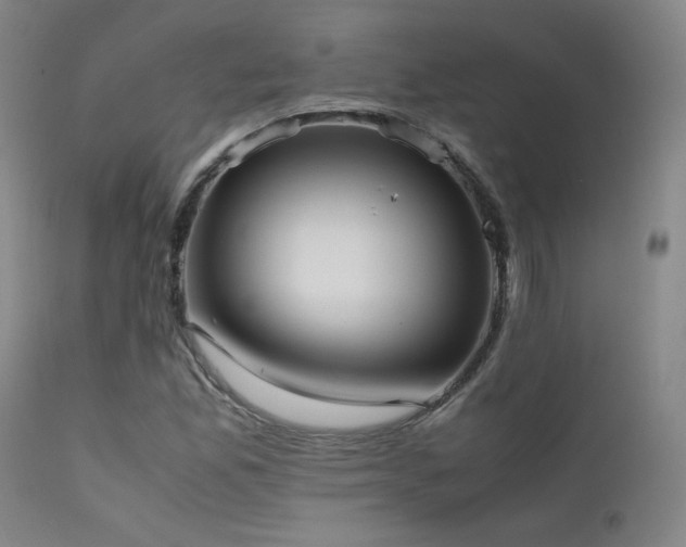X0000111501165200907141305