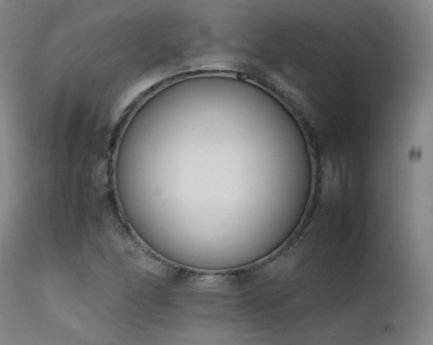 X0000111501166200907141305
