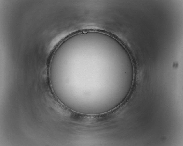 X0000111501167200907141305