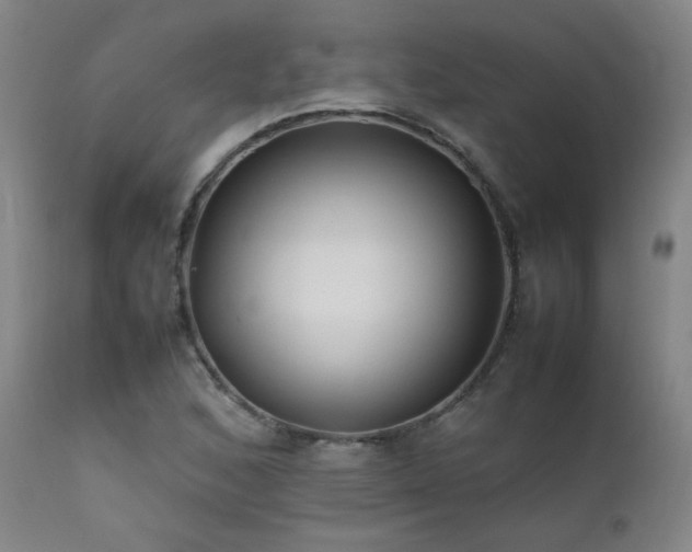 X0000111501168200907141305