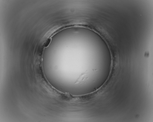 X0000111501169200907141305