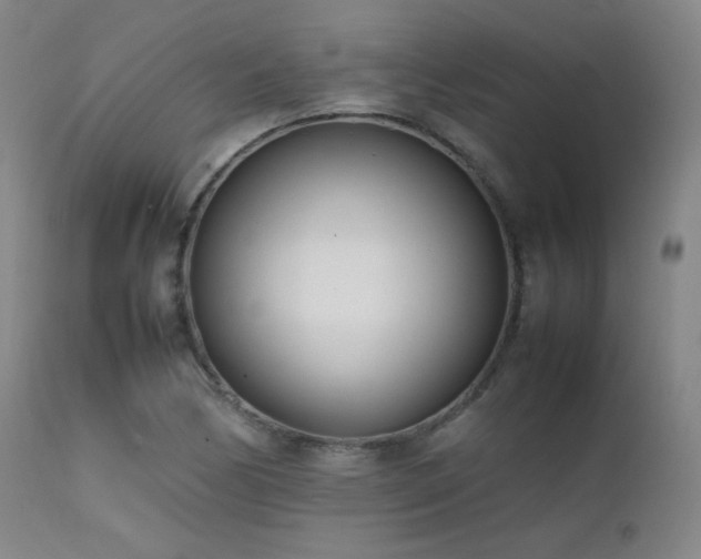X0000111501170200907141305