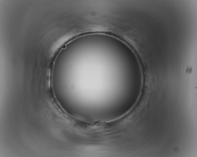 X0000111501171200907141305