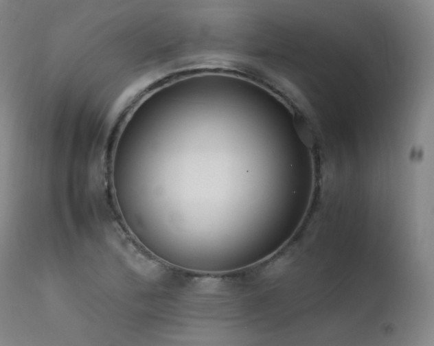 X0000111501172200907141305