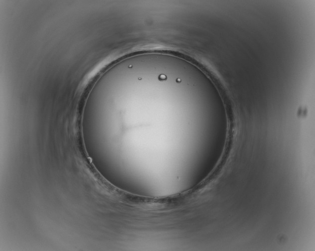 X0000111501173200907141305