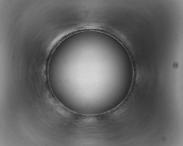 X0000111501174200907141305