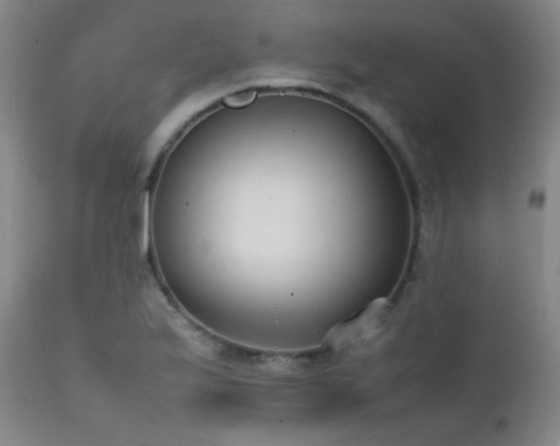 X0000111501175200907141305