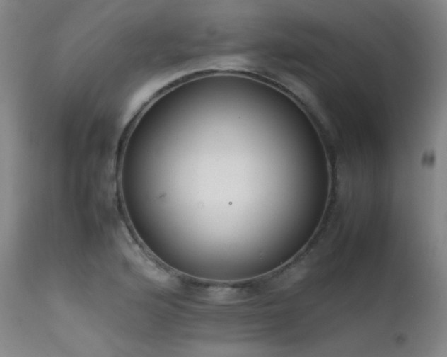 X0000111501176200907141305