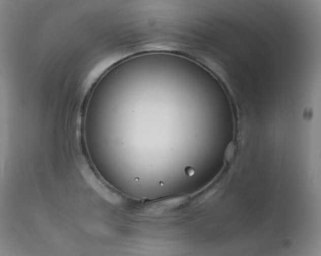 X0000111501179200907141305
