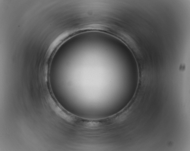 X0000111501180200907141305