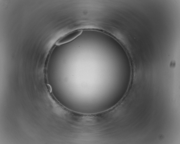 X0000111501181200907141305