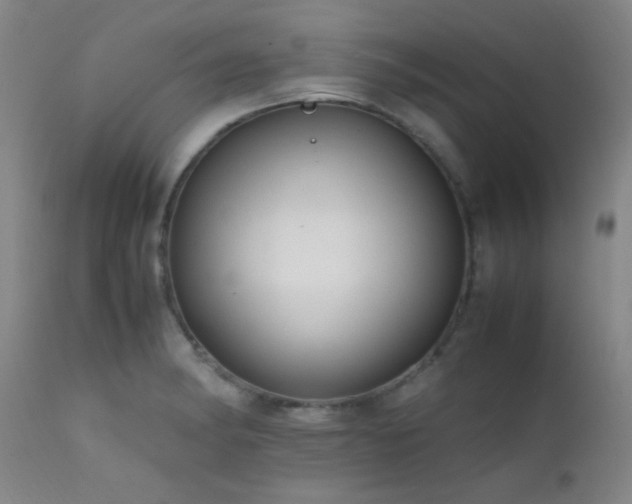 X0000111501182200907141305