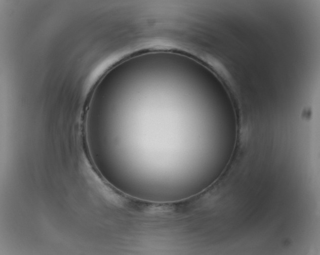 X0000111501183200907141305