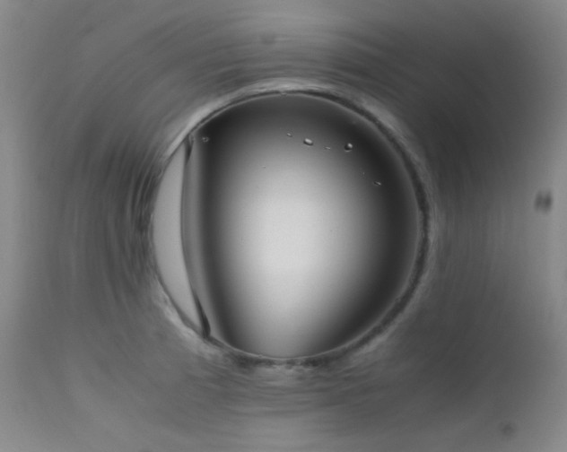 X0000111501185200907141305
