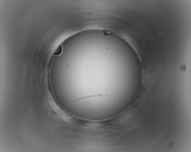 X0000111501187200907141305