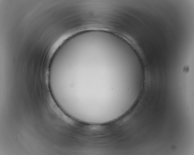 X0000111501188200907141305