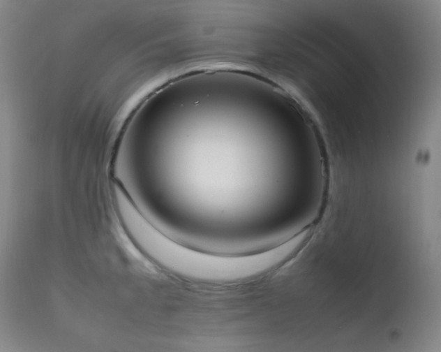 X0000111501189200907141305