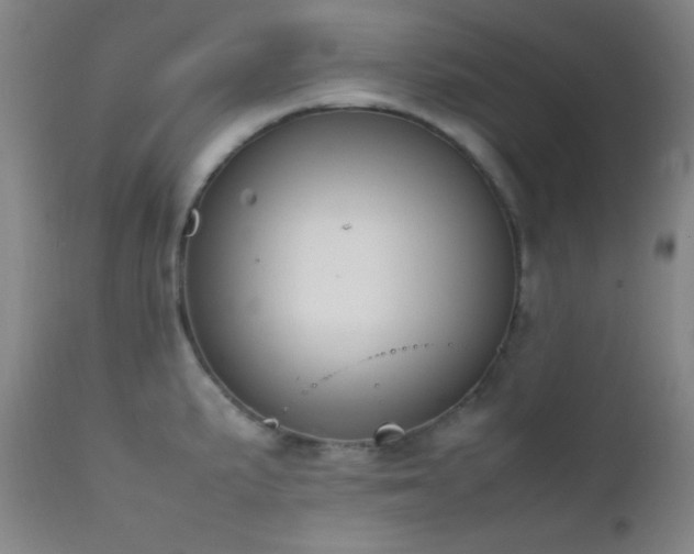 X0000111501191200907141305