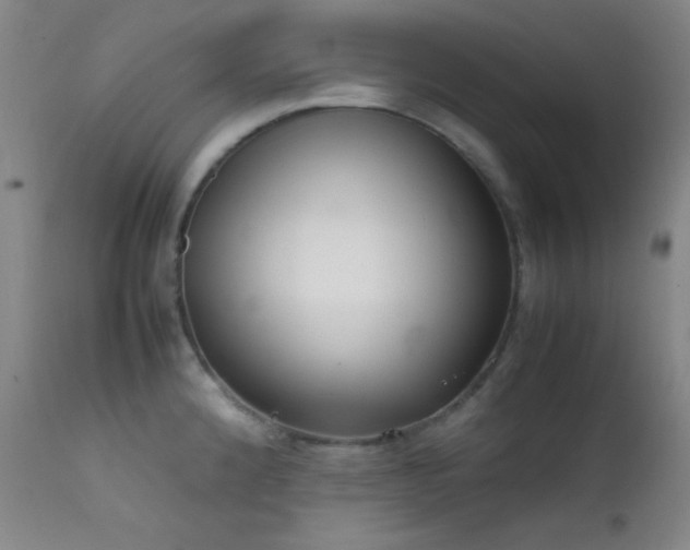 X0000111501192200907141305