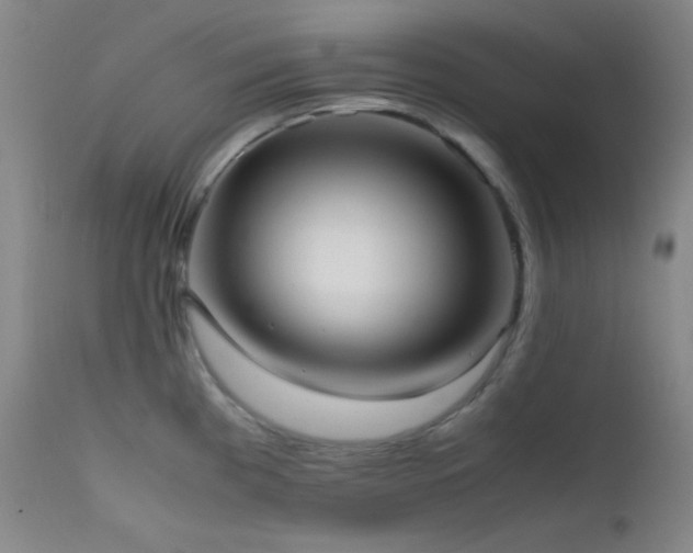 X0000111501193200907141305