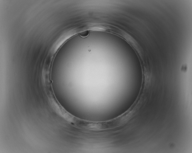 X0000111501194200907141305