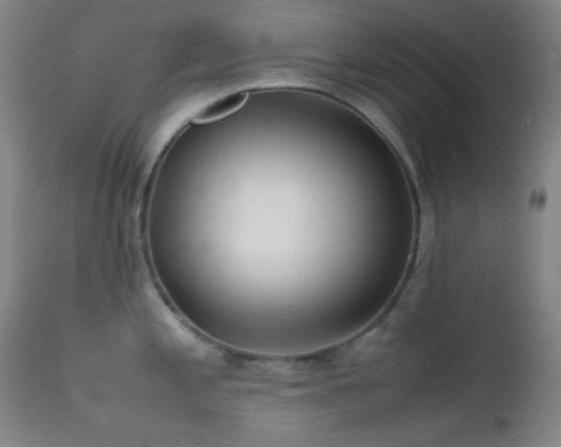 X0000111501197200907141305