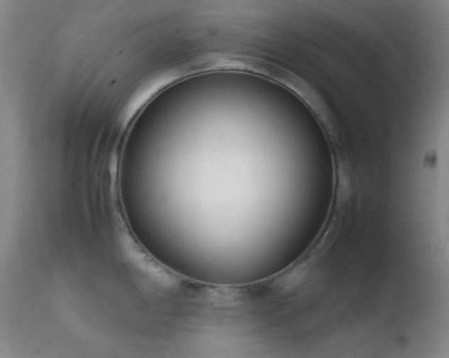 X0000111501198200907141305