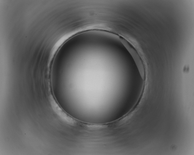 X0000111501200200907141305