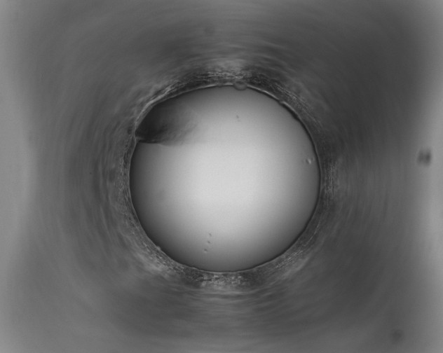 X0000111501201200907141304