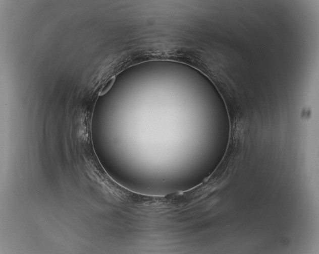 X0000111501202200907141304