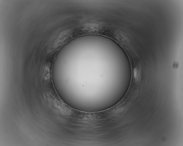 X0000111501203200907141304