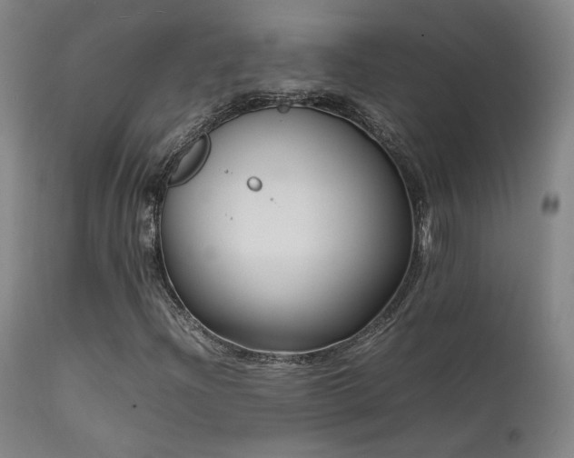 X0000111501204200907141304