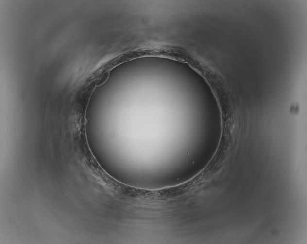 X0000111501206200907141304