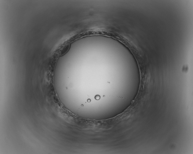 X0000111501207200907141304